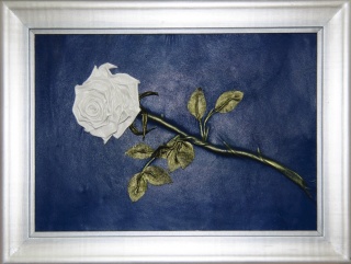 Белая Роза